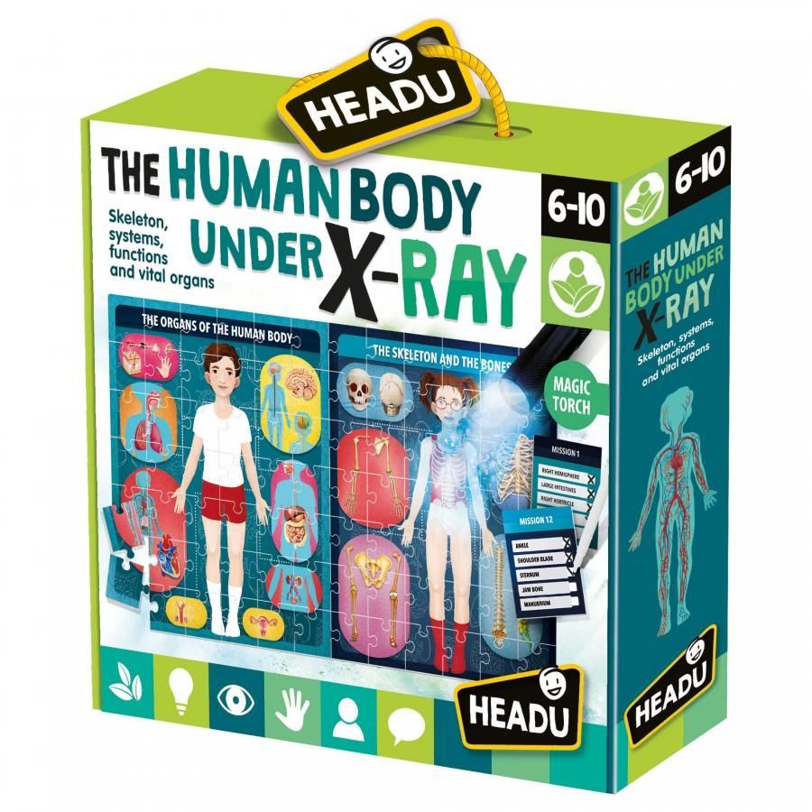 HEADU The Human Body Under Xray Magic Torch.jpg